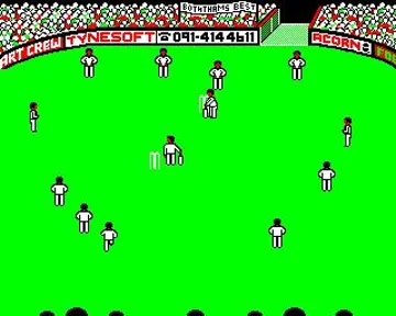 Ian Botham's Test Match (198x)(Tynesoft)[b] screen shot game playing